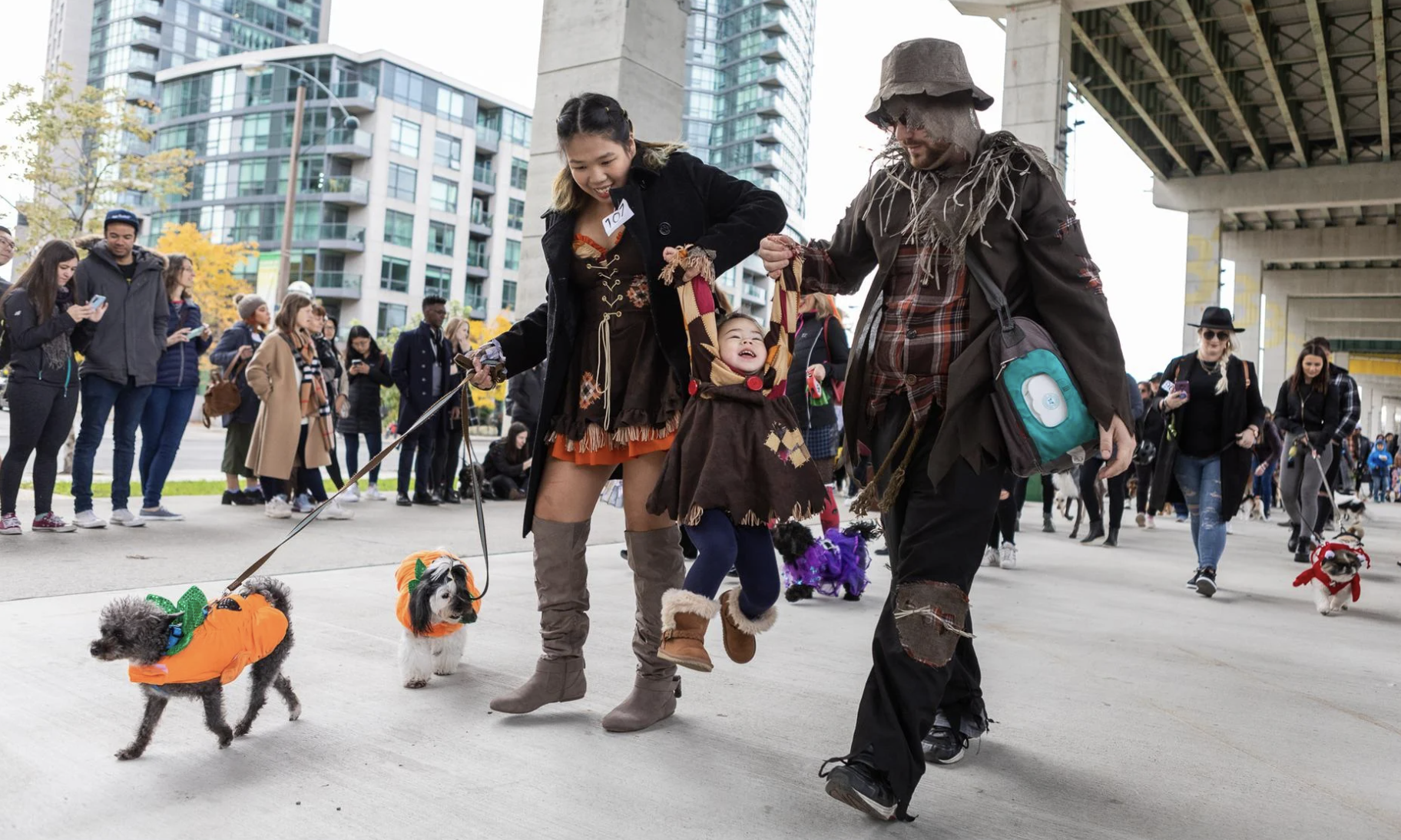 Families & furry pals strut in Howl'oween Parade at The Bentway