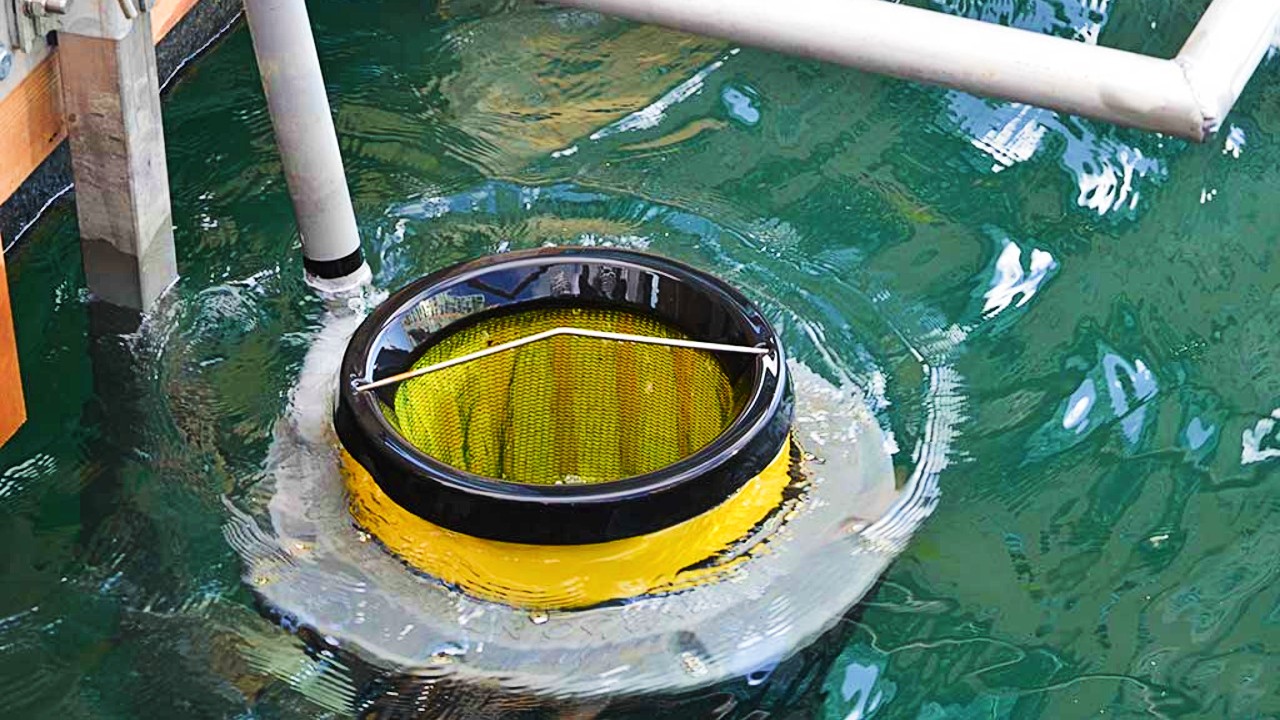 An image of a trash-trapping device attached to a dock in the Toronto Harbour