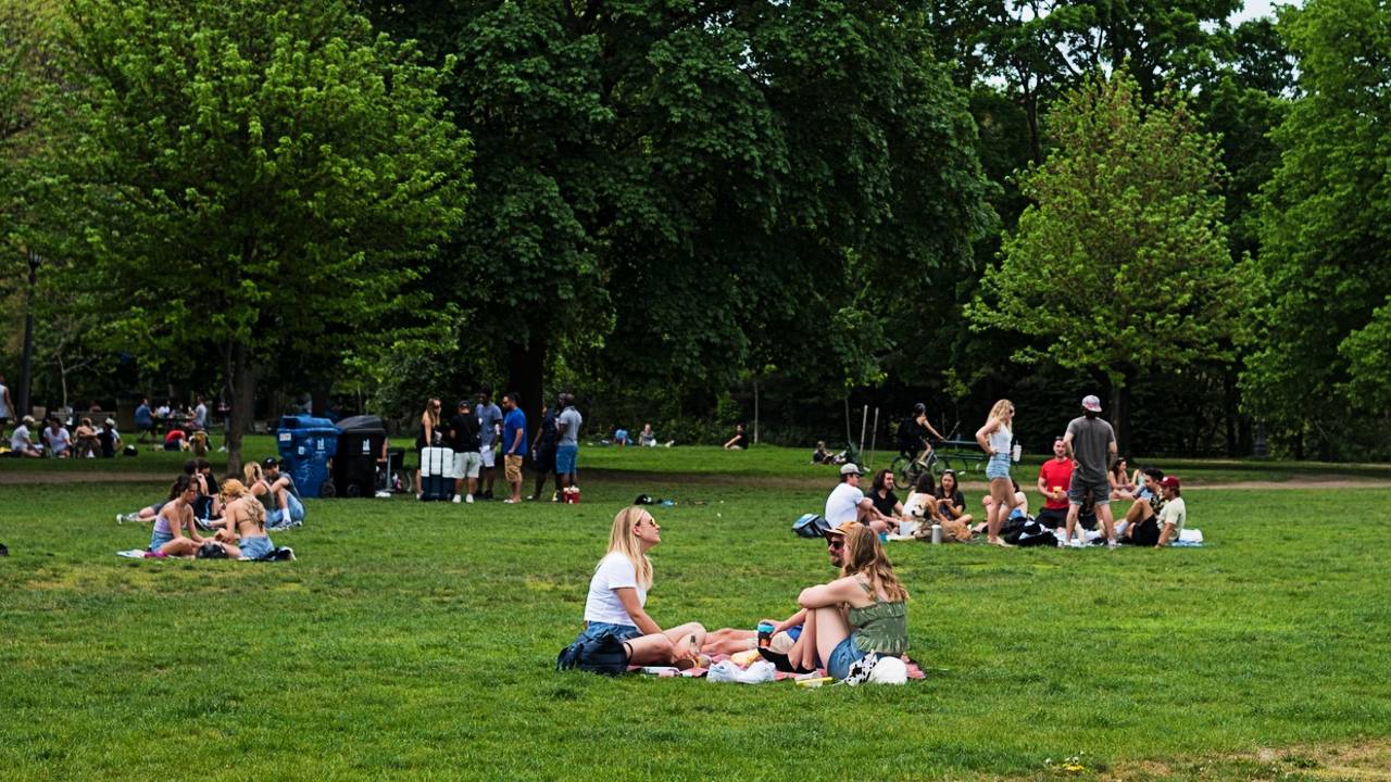 People enjoying Trinity Bellwoods Park where, before this pilot project, drinking presumably did not happen. Um, yeah. Did not happen.