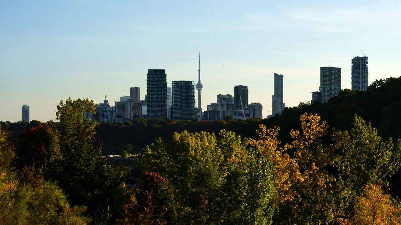 The Toronto skyline is seen at a distance with trees in the foreground